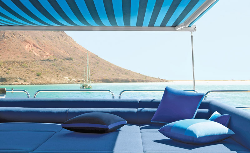 Sellerie marine Happy Notik